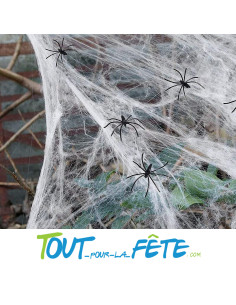 Toile d'araignée 100g + 6 araignées 2