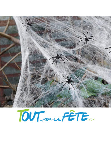 Toile d'araignée 100g + 6 araignées