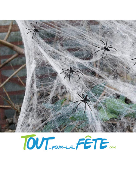Toile d'araignée 100g + 6 araignées