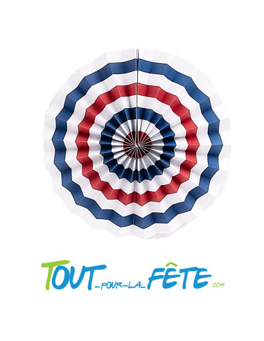 1 rosace 30 cm France bleu, blanc, rouge
