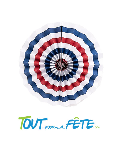 1 rosace 30 cm France bleu, blanc, rouge
