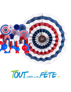 1 rosace 30 cm France bleu, blanc, rouge 2
