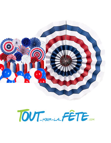 1 rosace 30 cm France bleu, blanc, rouge