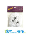 Toile d'araignée 20g + 3 araignées