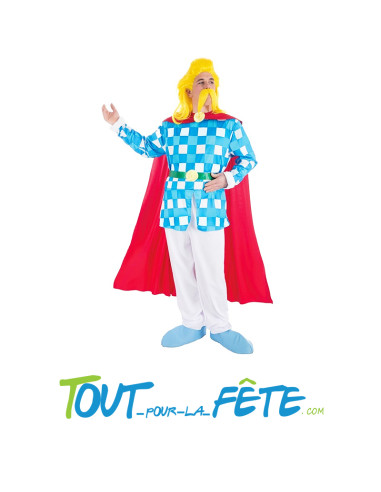 Déguisement Assurancetourix Astérix© adulte