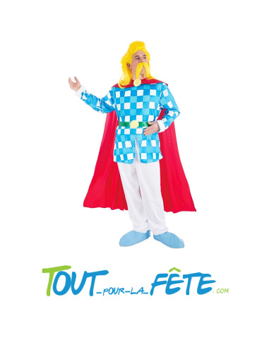 Déguisement Assurancetourix Astérix© adulte