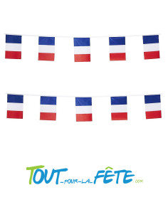 Guirlande fanions RECTANGLE 10 mètres bleu / blanc / rouge France150 microns extérieur 2