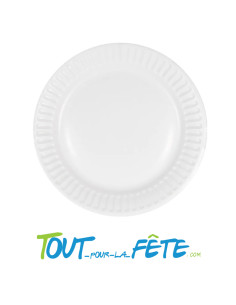 Lot de 10 assiettes en carton blanc 22cm