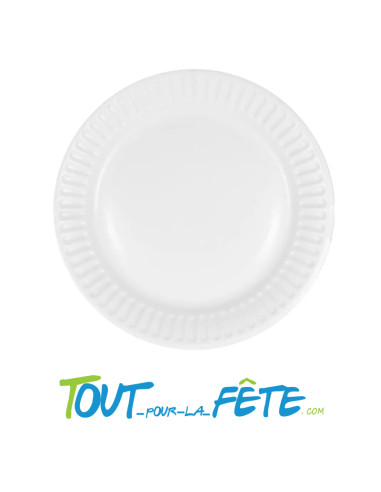 Lot de 10 assiettes en carton blanc 22cm