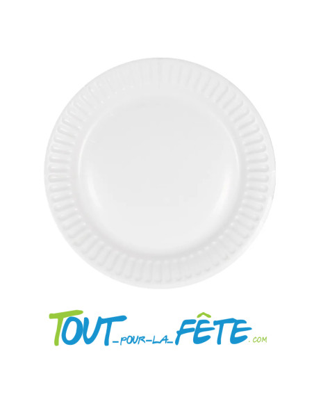 Lot de 10 assiettes en carton blanc 22cm