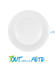 Lot de 10 assiettes en carton blanc 22cm 2