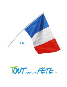 12 drapeaux France avec baguette 30x45 cm 2