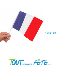 Lot de 12 drapeaux France 14x21cm