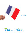 Lot de 12 drapeaux France 14x21cm