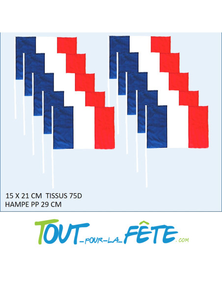 Lot de 12 drapeaux France 14x21cm