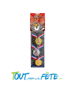 Lot de 3 médailles olympiques zizi 2