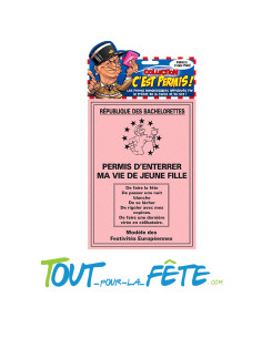 Permis d'enterrer ma vie de jeune fille 2