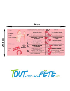 Permis d'enterrer ma vie de jeune fille