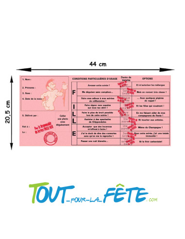 Permis d'enterrer ma vie de jeune fille