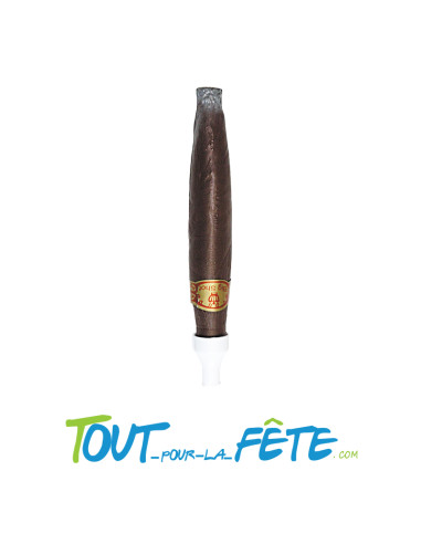 Faux cigare géant 21cm
