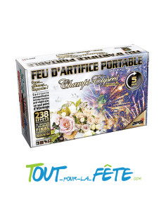 Feu d'artifice portable-champs élysée spécial mariage