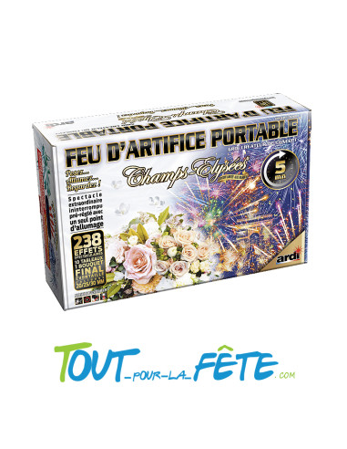 Feu d'artifice portable-champs élysée spécial mariage