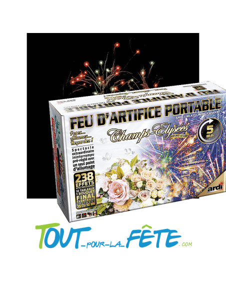Feu d'artifice portable-champs élysée spécial mariage