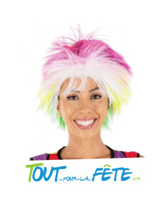 Perruque multicolore 2