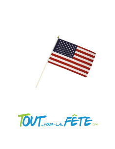 Lot de 12 petits drapeaux USA 15cm x 22cm 2