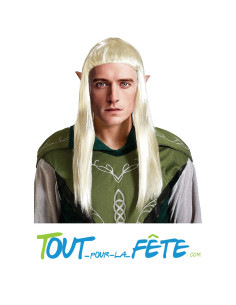 Perruque d'elfe legolas taille adulte 2