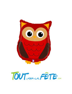 Ballon aluminium chouette 66cm 2