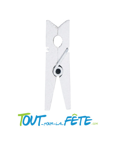 Lot de 12 pinces en bois 3.5cm ( plusieurs coloris )