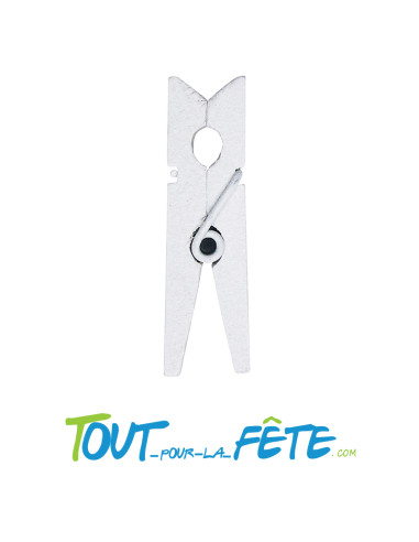 Lot de 24 pinces en bois 2.5cm ( plusieurs coloris )