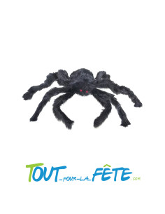 Araignée noire 50 cm 2