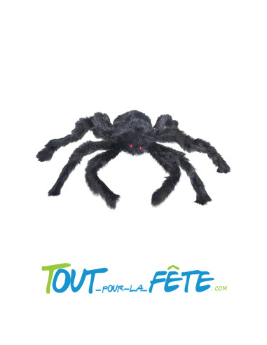 Araignée noire 50 cm