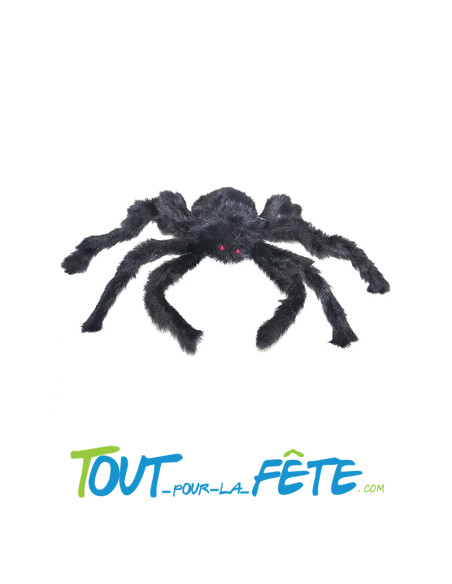 Araignée noire 50 cm