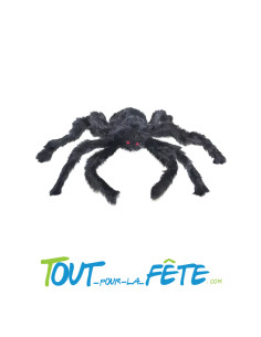 Araignée noire 50 cm