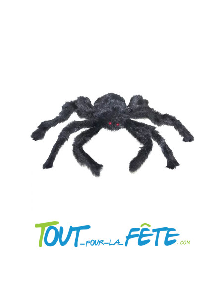 Araignée noire 50 cm