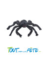Araignée noire 50 cm