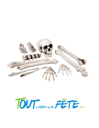 Set 12 os de squelette