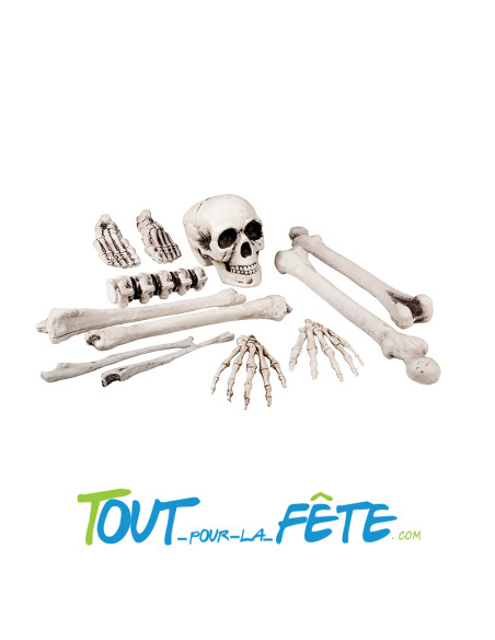 Set 12 os de squelette