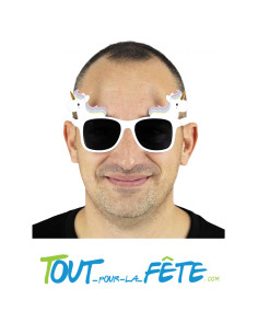 Lunettes licorne
