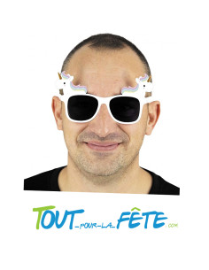 Lunettes licorne 2