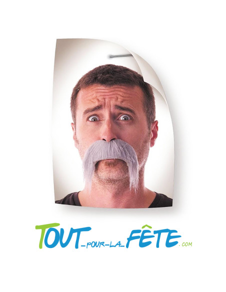 Moustache de kéké grise