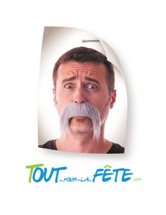 Moustache de kéké grise 2