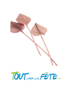 Lot de 10 feuilles de palmier découpées 55cm rose désert