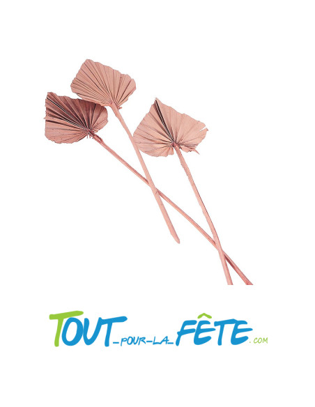 Lot de 10 feuilles de palmier découpées 55cm rose désert