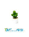 Cactus en pot 13 x 6 cm
