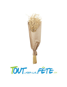Bouquet avoine naturel 70 cm