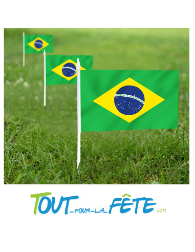 10 drapeaux sur tige Brésil 20x30 cm